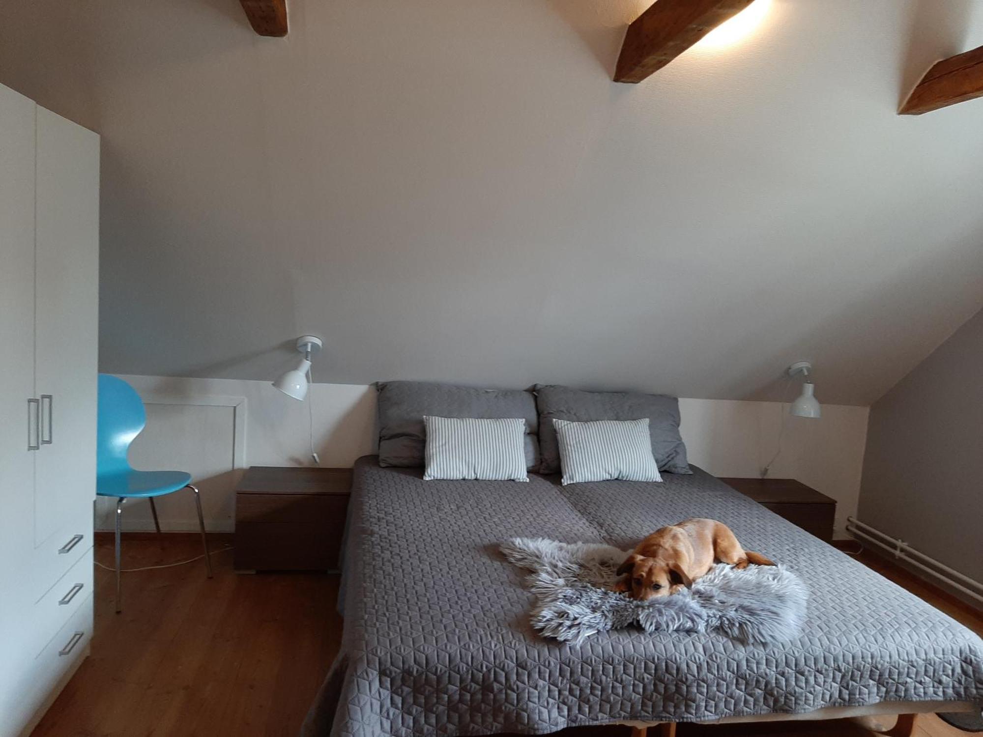 Stor Villa I Lendemarke Stege Dış mekan fotoğraf